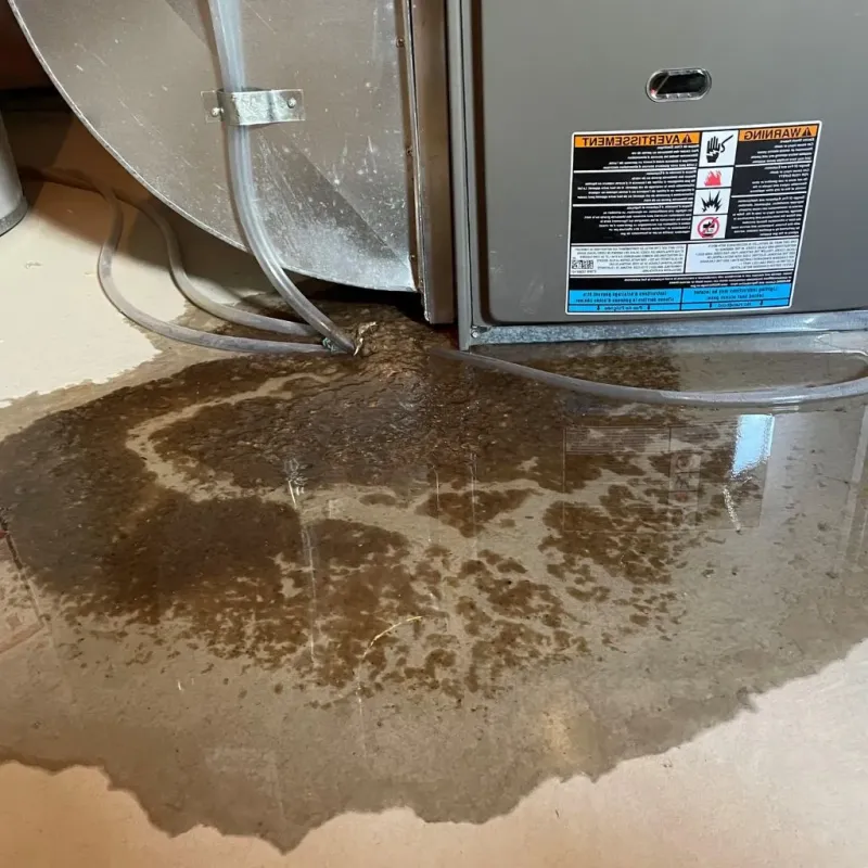 Pipe Burst and Leak Restoration in Hominy, OK